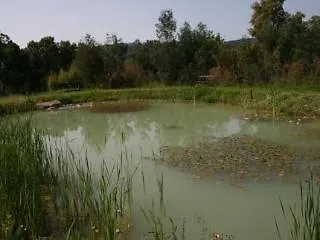 Ferraia * Monticiano